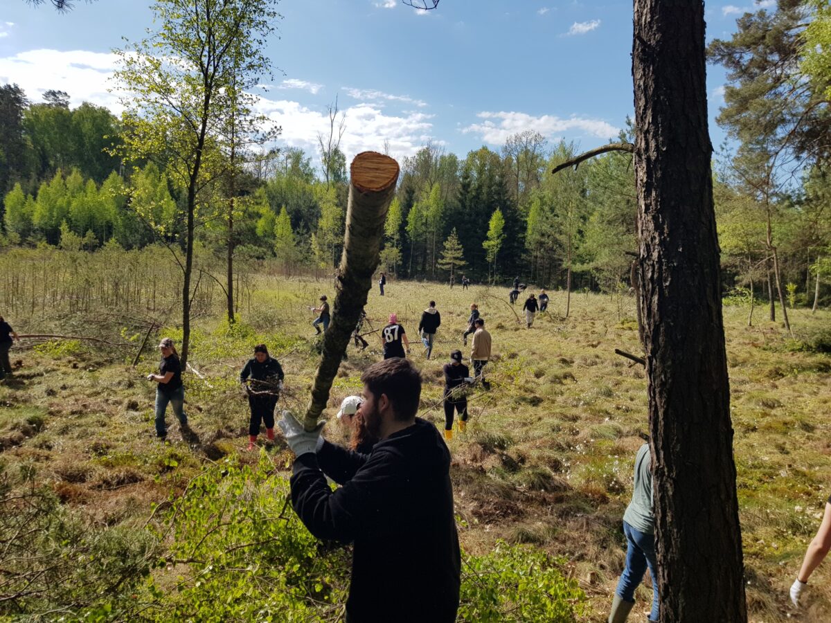 SB MANTA Litauen 2025